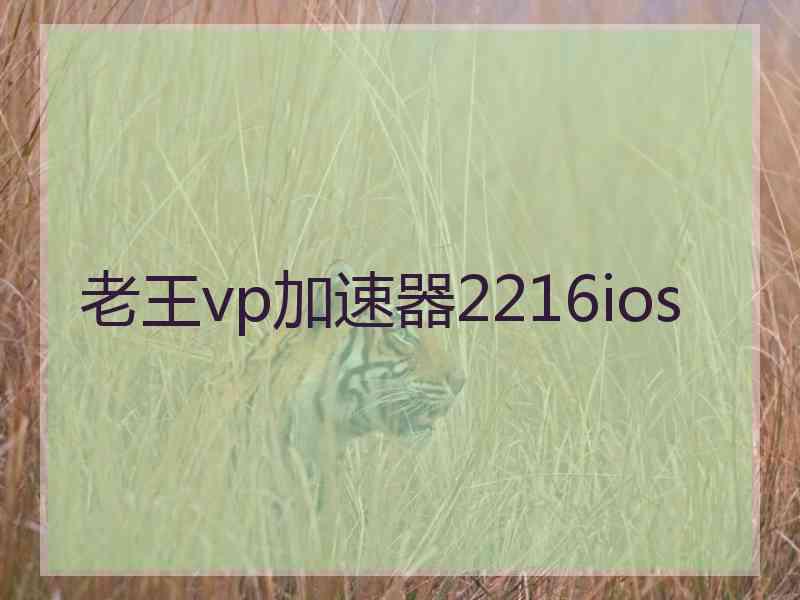 老王vp加速器2216ios